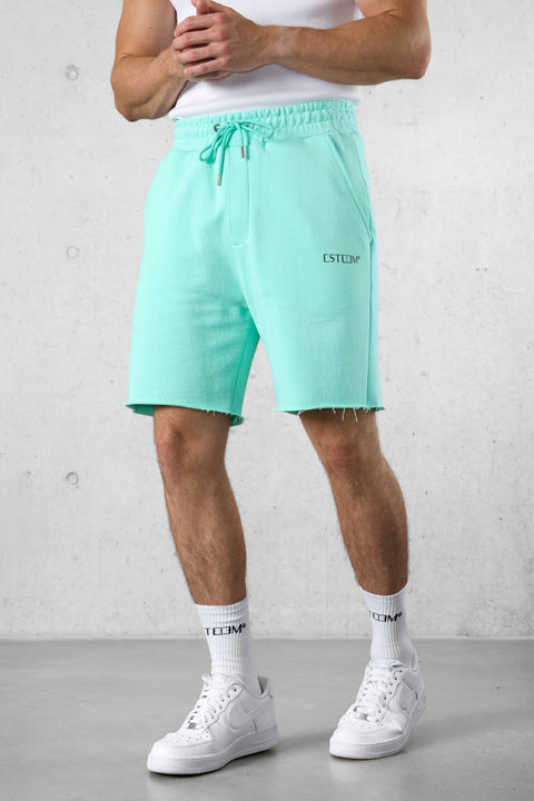 BEACHGREEN DISCREET SWEATSHORTS